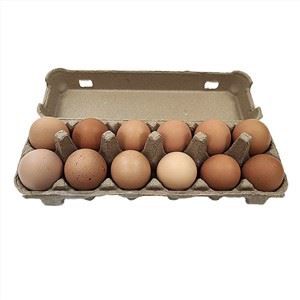 Χαρτοκιβώτια αυγών Μορφοποιημένος πολτός