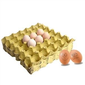 Κατασκευαστές δίσκων αυγών χαρτοπολτού εγγράφου