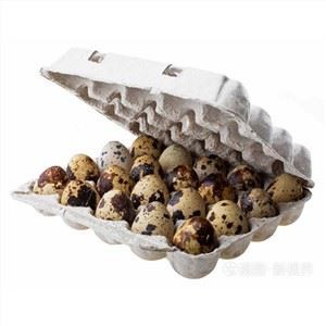 Χαρτοκιβώτια αυγών ορτυκιών πολτού