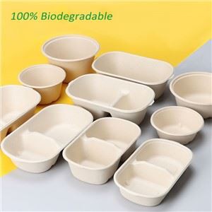 Βιοδιασπώμενο κουτί γεύματος μιας χρήσης