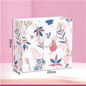 Προσαρμοσμένη τυπωμένη χάρτινη τσάντα δώρου